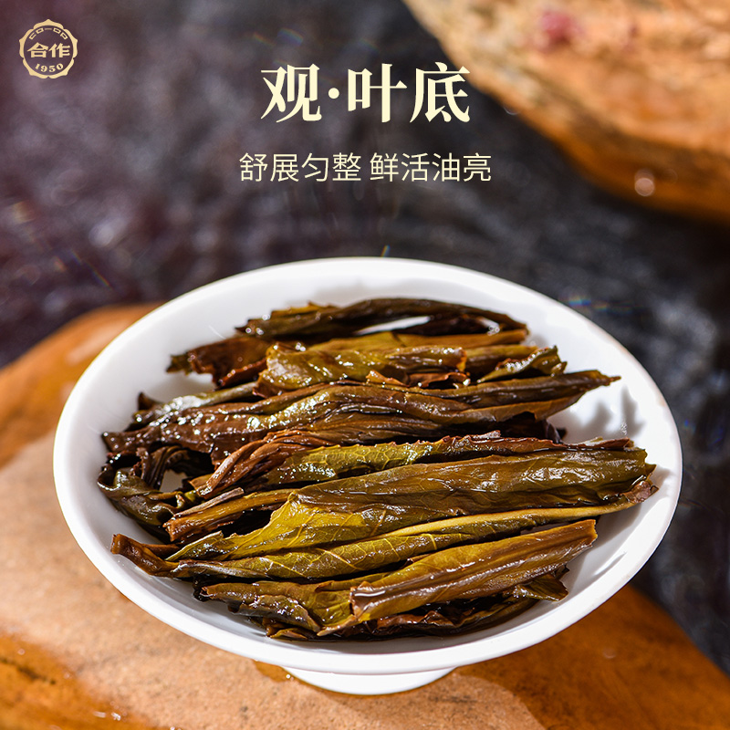 正巖1978肉桂 紅